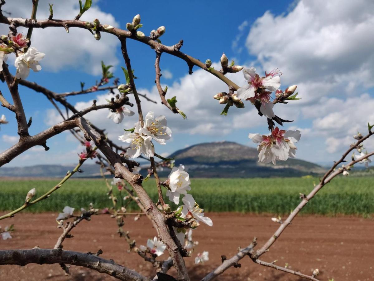 Galilee Best Location 'En Dor Kültér fotó