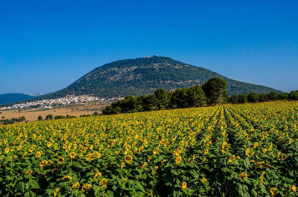 Galilee Best Location 'En Dor Kültér fotó
